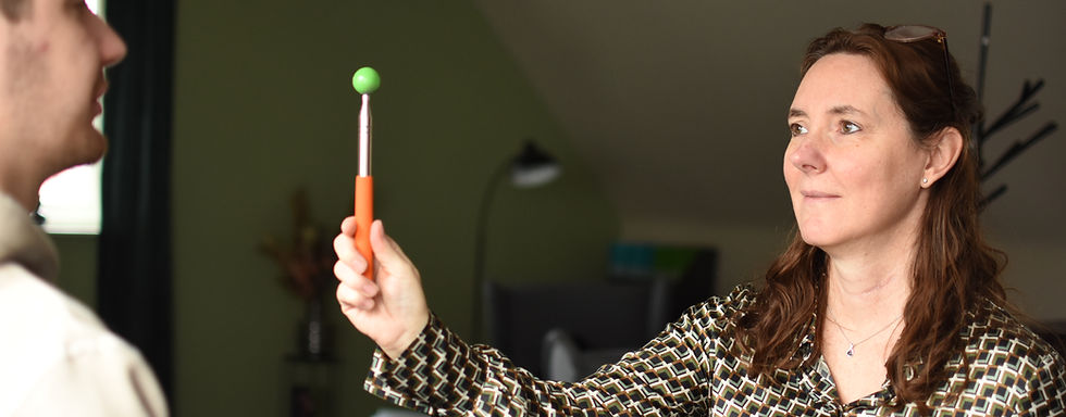 Monica Bleeckx IEMT Traumatherapie te Zoersel, België