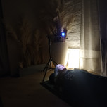 Tree Carr LiBa Lightbath Light Traveller