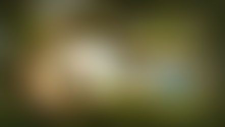                Io sono quella donna