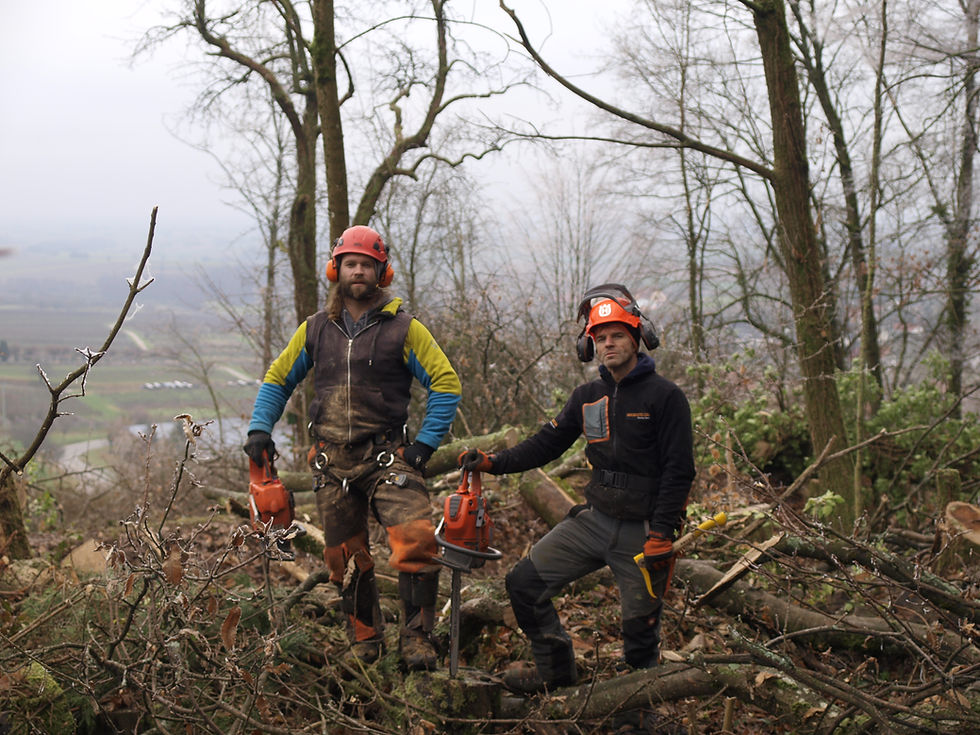 Action Core - Crew bei Baumarbeiten im Pfälzerwald