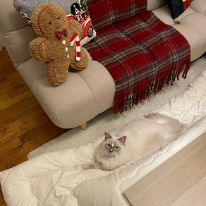 Fabriquer son kotatsu et passer l'hiver comme au Japon