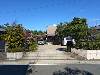IMAG0533.jpg