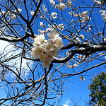 IMAG1082.jpg