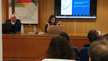 ponencia_arancel.png