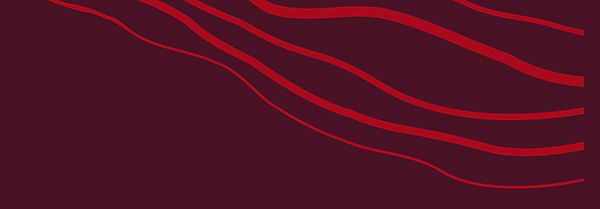 Ligne icone (2)_edited.jpg