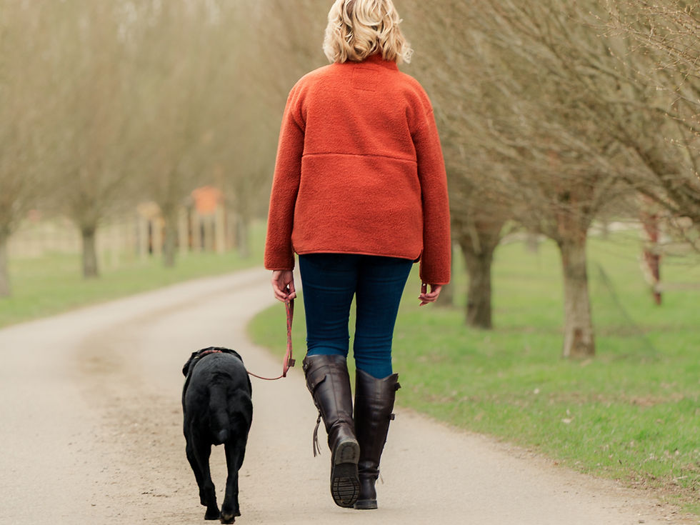 Closing the Year at the Forest Edge: Belonging, Boundaries & Beginning Again