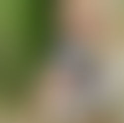 When the News Starts Echoing History