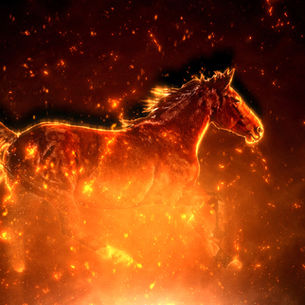 Snake to Fire Horse: What Changes When Movement Returns