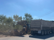 Gobierno de Reynosa inició el programa de limpieza “Acción y Conciencia” en Balcones de Alcalá.