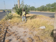 Realizó Servicios Públicos de Reynosa labores en distintos sectores de la ciudad