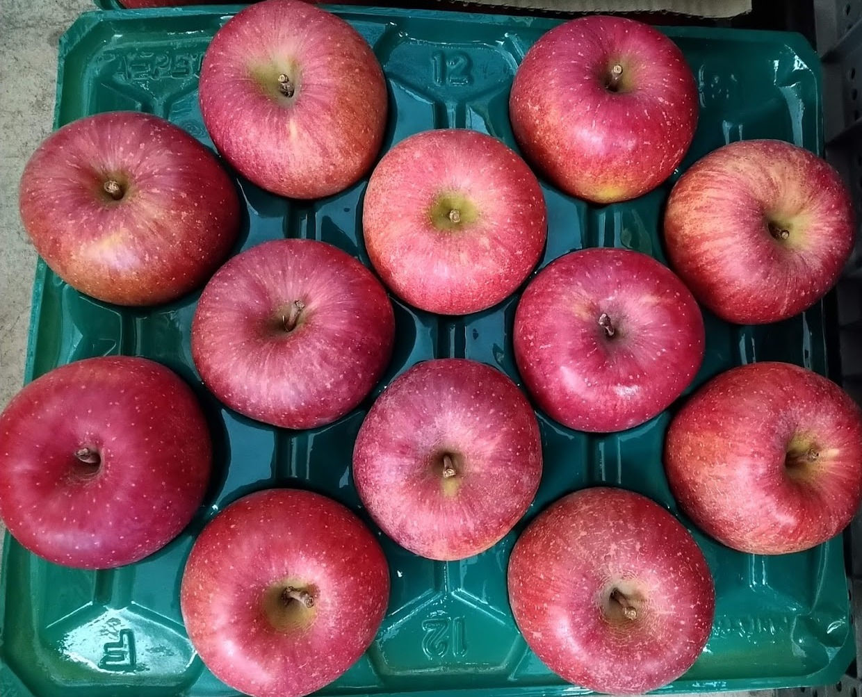 サンふじ（小玉）3kg箱 (11玉前後）家庭用