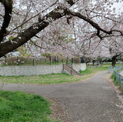 つつじヶ丘公園2026