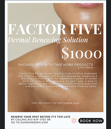 Factor Five September2025.png