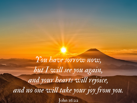 The Fourth Sunday of Easter