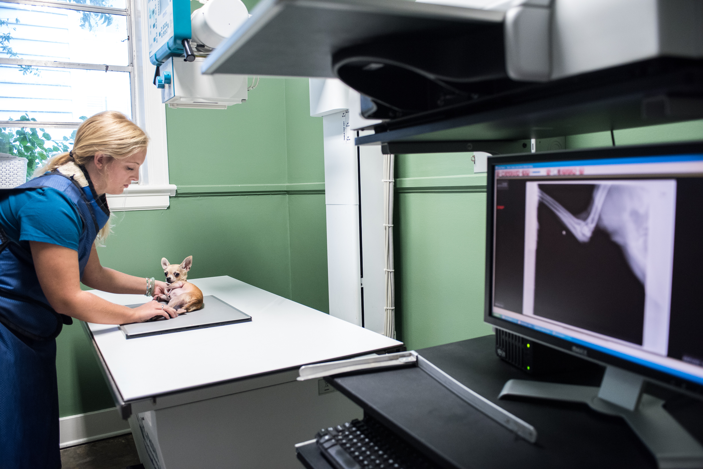 All Creatures Veterinary Clinic Charleston, SC