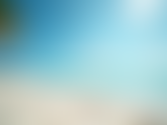 Maximize Vacation Rental Income in Sarasota Area