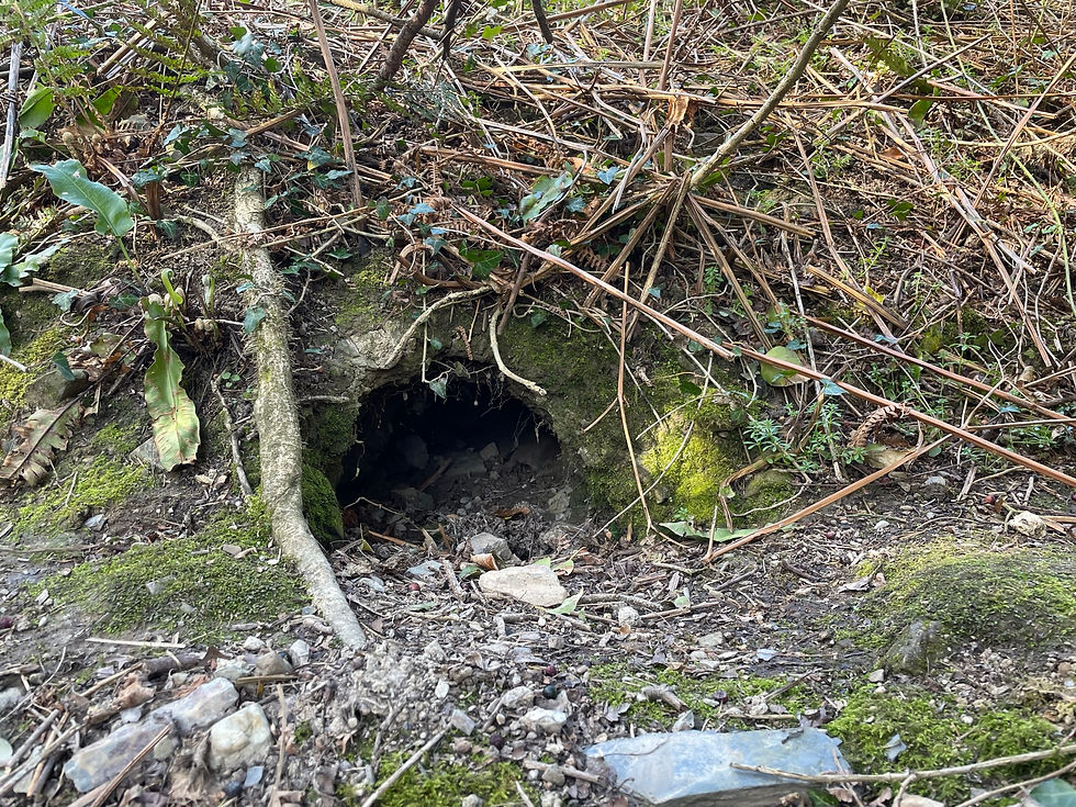 Sett survey