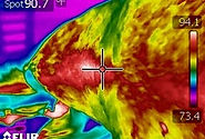 FLIR2.jpg