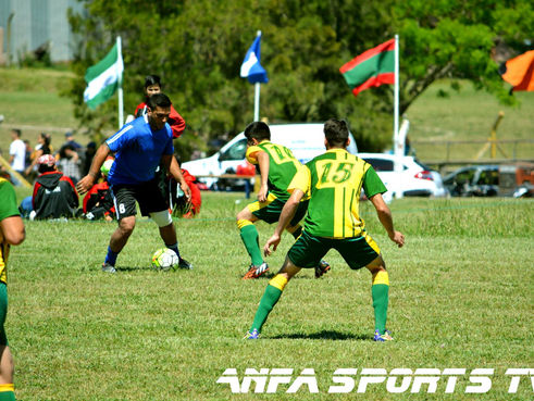 COMPETENCIAS de ANFA se FIJAN en el COMPLEJO “BELLA VISTA” desde el 25 de NOVIEMBRE