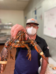 Sean Sinclair Lobster.jpeg