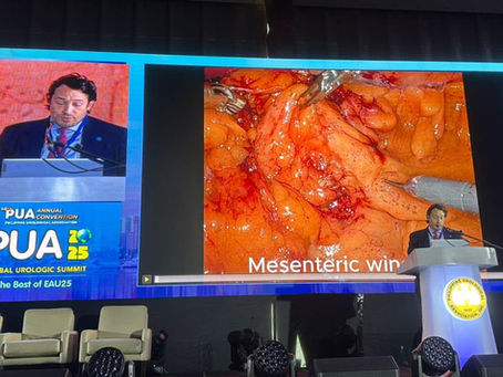 FACULTY & Semi-live surgery- Philippine Urological Association (PUA) 2025 Global Urologic Summit (Manila, PH) Urologia, Dr. PINI, European School of Urology ESU, Robotic Surgery.