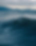 pexels-rafaelpaull-4797134.jpg