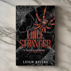 Little Stranger (The Web of Silence Duet #1) - Leigh Rivers