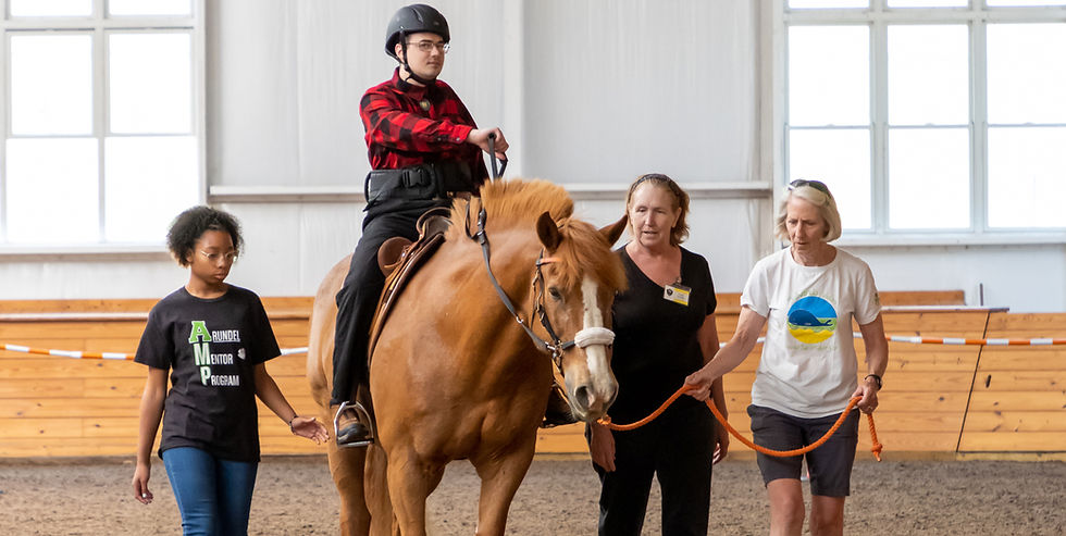 Fall New Volunteer and Horse Leader Orientation