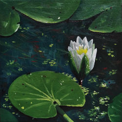 Water lily (sold)