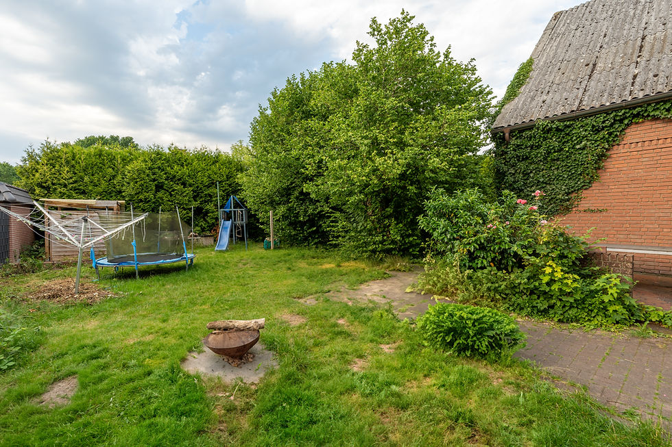 grüner und ruhiger Garten (2)