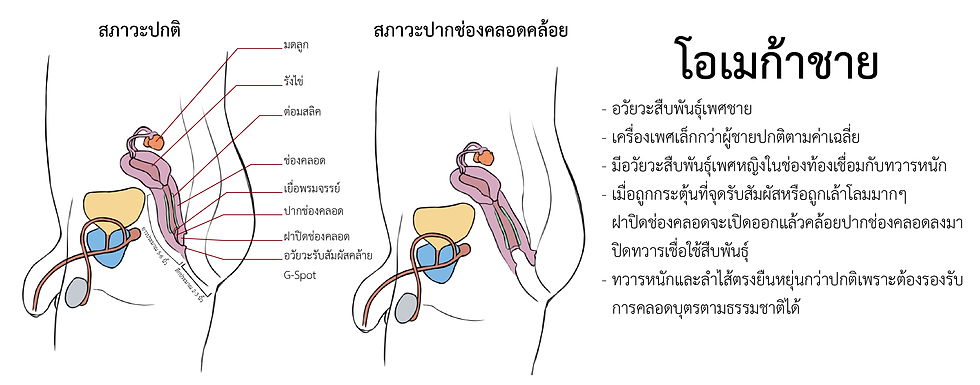 โอเมก้าชาย