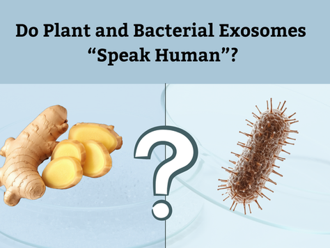 “Can Plant or Bacteria Exosomes Really Rejuvenate Skin? Here’s What the Science Says”