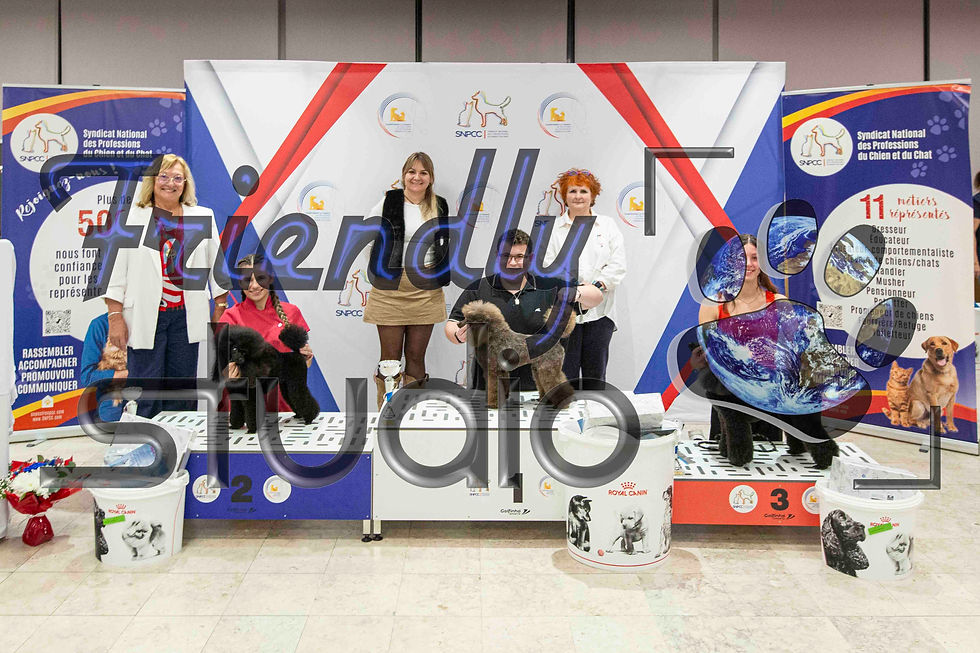 CFT25-Trophées-3819