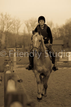 Le Photographe de votre cheval