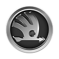 Диагностика Skoda