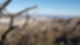 20211129_090717.jpg