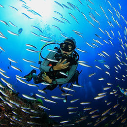 Dive Refresher
