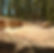 new home site 03.jpg