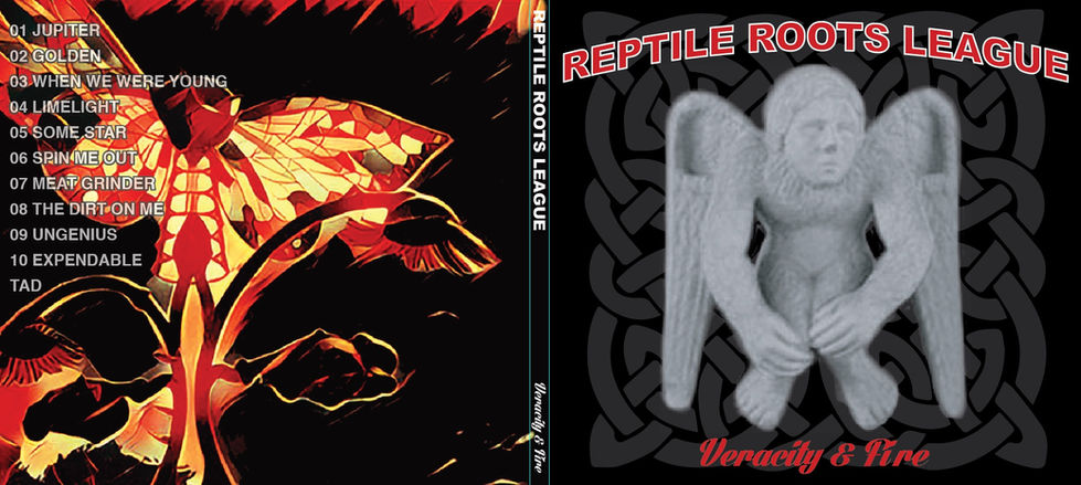 crypVeracity_&_Fire_covers
