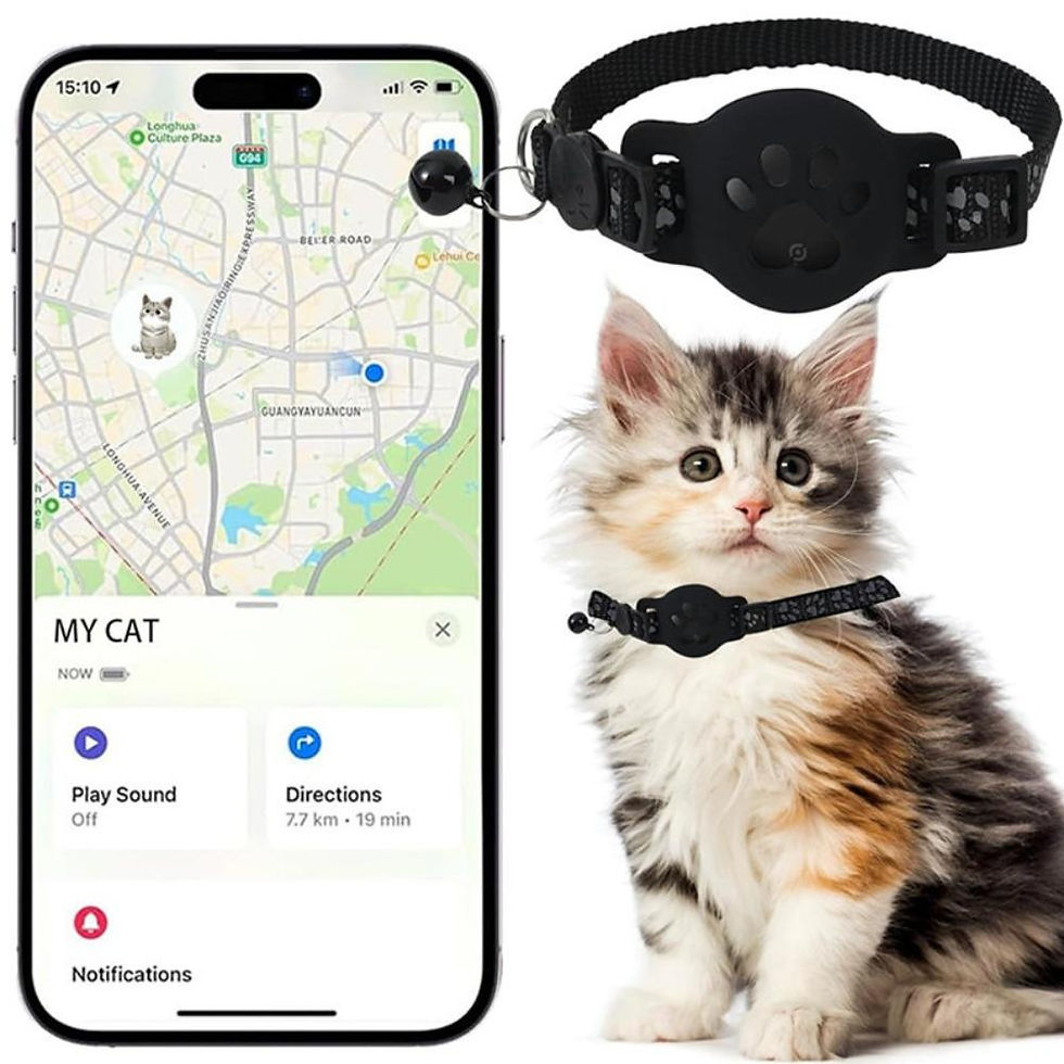Thumbnail: Multifunctional Pet Smart GPS Trackers Cat Trackers GPS Collar Pet Kitten GPS Co