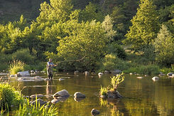 auvergne-rhone-alpes-haute-loire-peche-a-la-mouche-dans-la-haute-vallee-de-la-loire-59-bd-