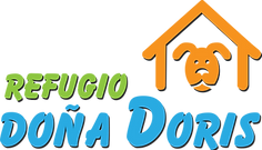 Logo color.png