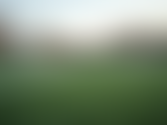 Personalized Recruitment Strategies for Lacrosse Players