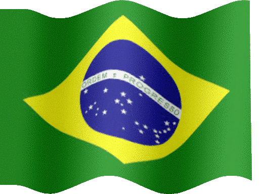 11.gif