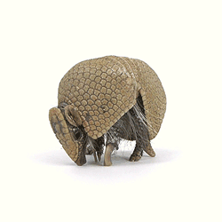 armadillo-bola-8705.gif