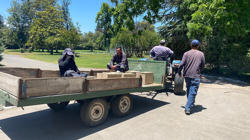 WhatsApp Image 2024-12-19 at 09.51.34 (1).jpeg