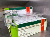 Campanha de Vacinação contra a gripe começa nesta segunda-feira