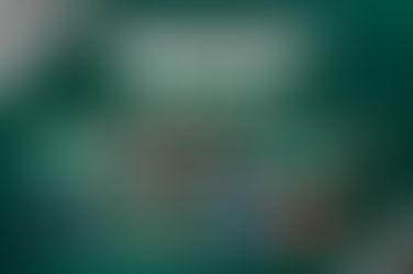 Hoje Arbitral do Módulo II do Campeonato Mineiro define normas da competição 2025