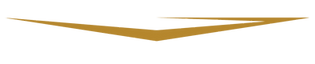 sous logo