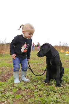 Drewton's Pumpkin Patch Child and Dog